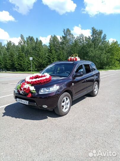 Катаем свадьбу