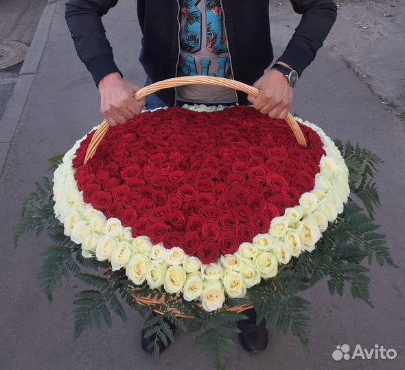 101 роза Розы