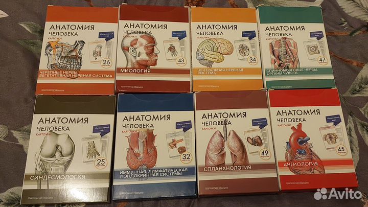 Карточки по анатомии