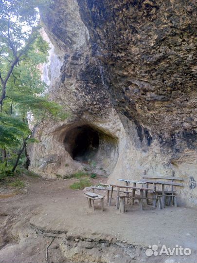 Конный прокат