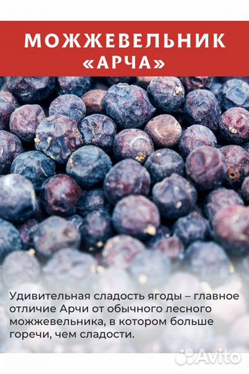 Можжевеловая ягода арча, 50 г