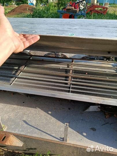 Thermo king TK2.49HO