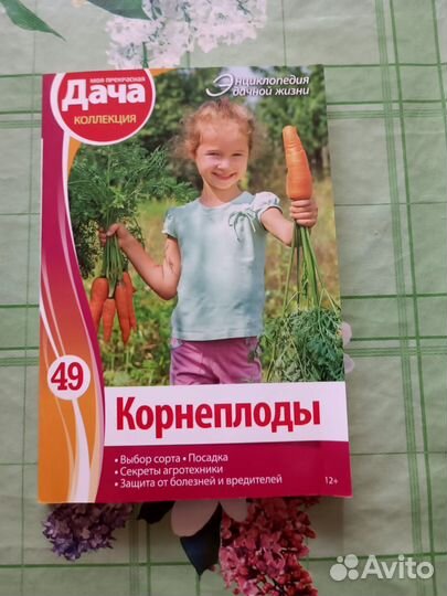 Книжки. Дача