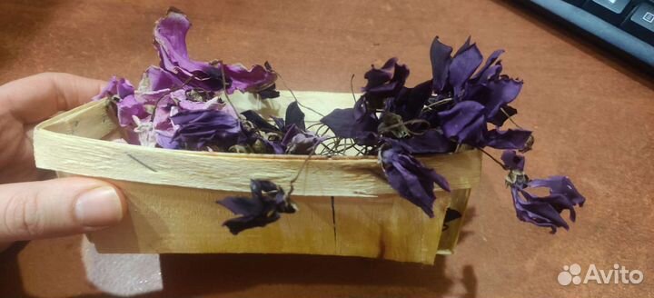 Высушенные цветы цикломена