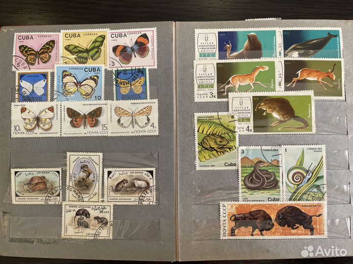 Почтовые марки альбом