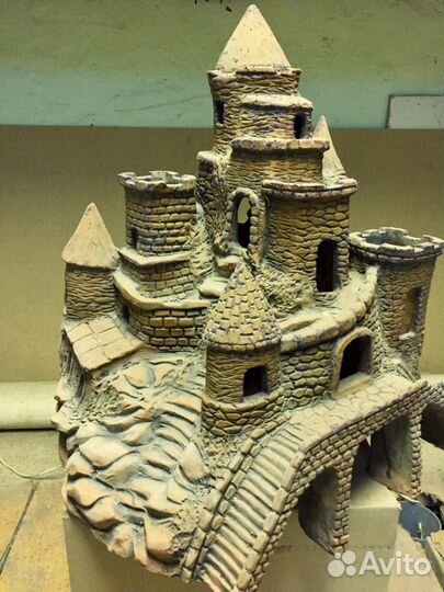 Криптокорина Балансе В gigantea,мангровые коряги