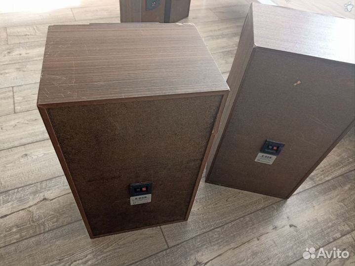 Колонки radiotehnika S-50B