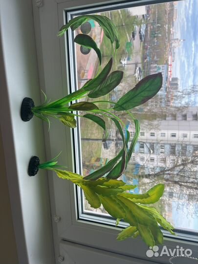 Тканевые растения для аквариума