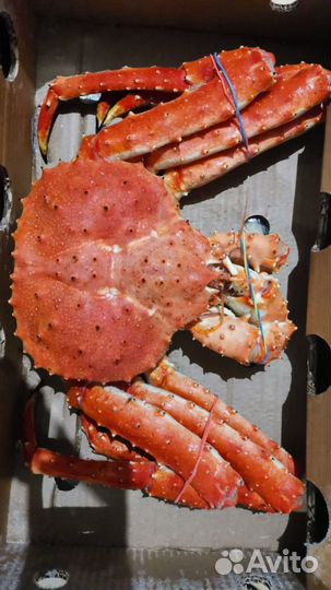 Краб камчатский, оригинальный подарок