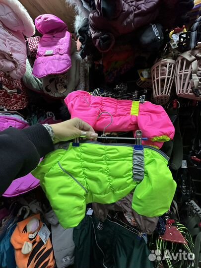 Одежда для собак