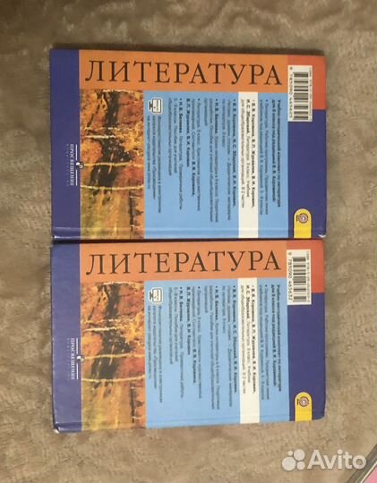 Литература 9 класс