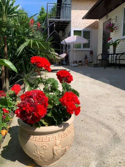 Комната 25 м², 1/1 эт.