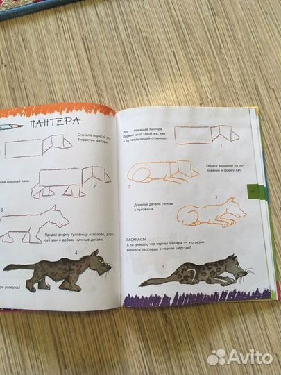 Учимся рисовать. Роза М. Курто