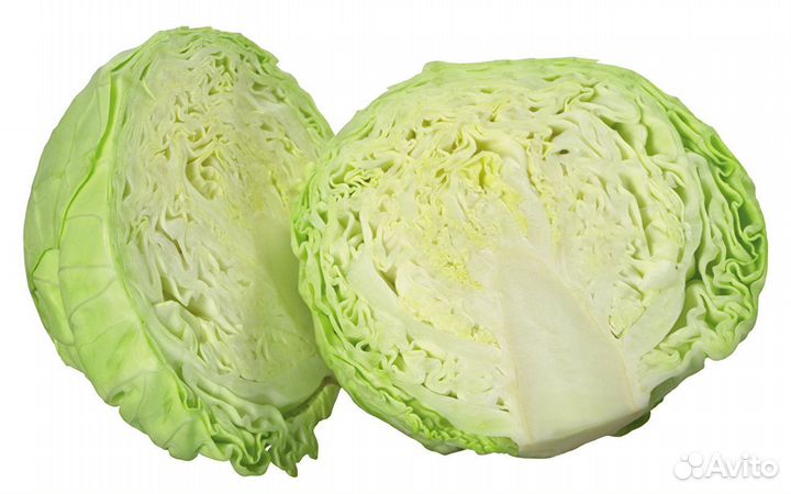 Капуста свежая