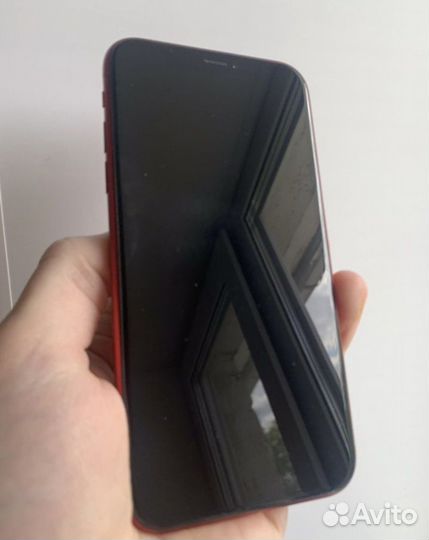 iPhone xr