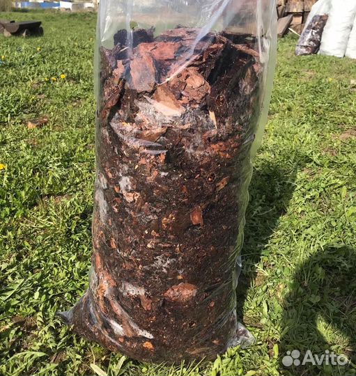 Мульча сосновая кора