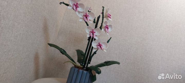 10311 Lego Botanical Collection 