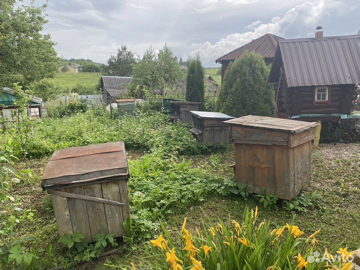 Улей с пчелами