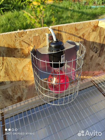 Клетка для перепелов