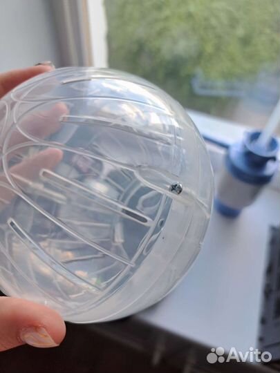 Шар для хомяка