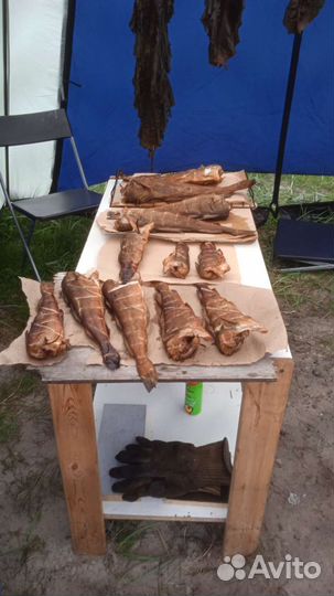 Ежи, гребешок