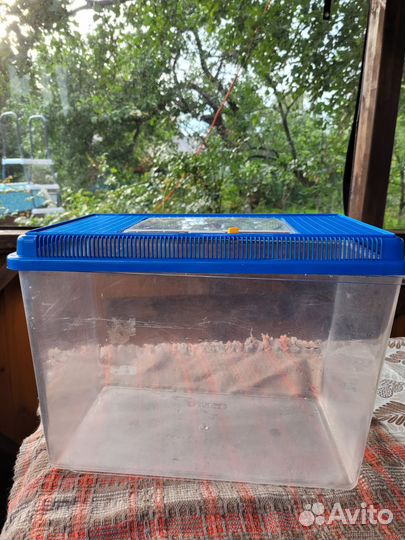 Клетка бокс для грызунов