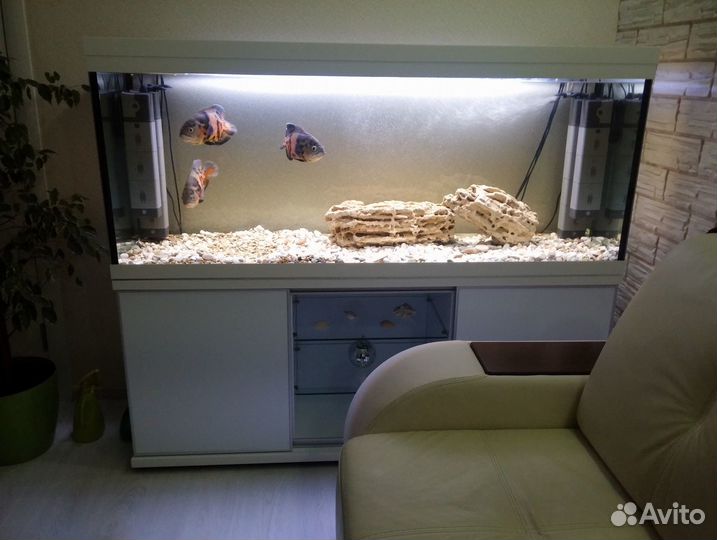 Аквариум 450 литров пластик абс белый + мдф