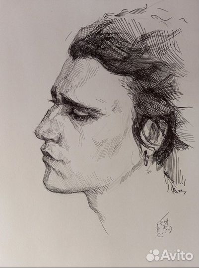 Художник иллюстратор