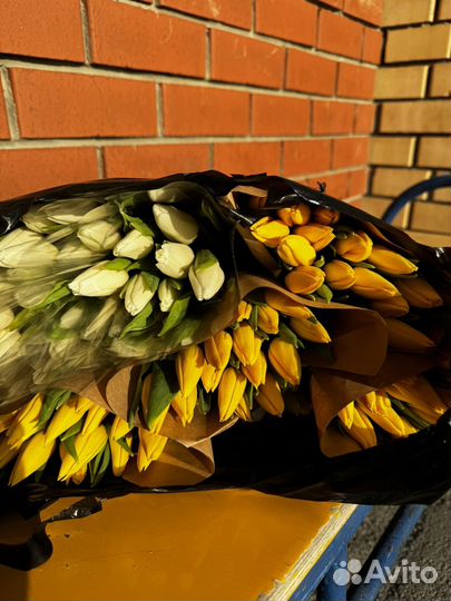 Тюльпаны оптом