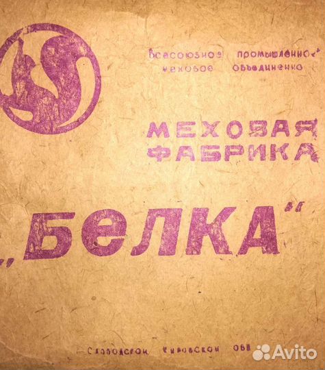 Мужская шапка (нутрия)