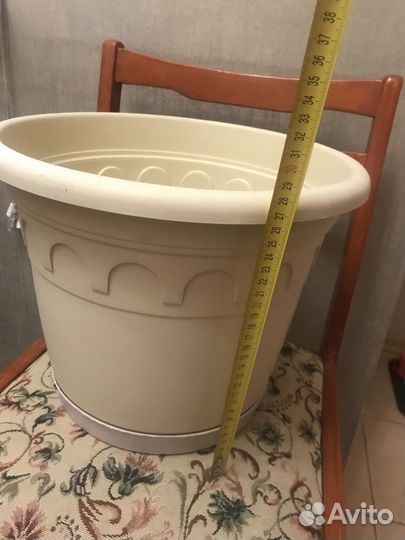 Сциндапсус/эпипремнум, горшок пластик большой