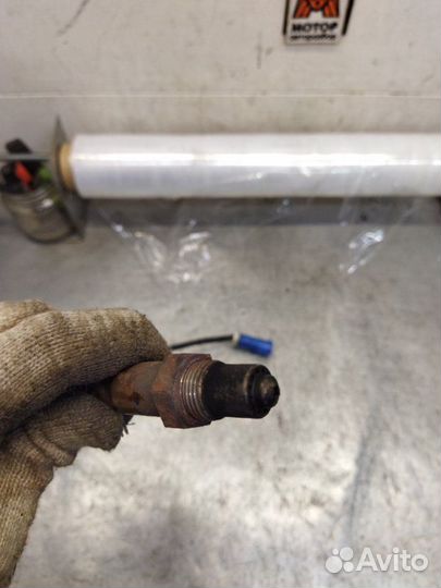 Датчик кислородный Ford Focus 2 хетчбэк 2.0 aoda