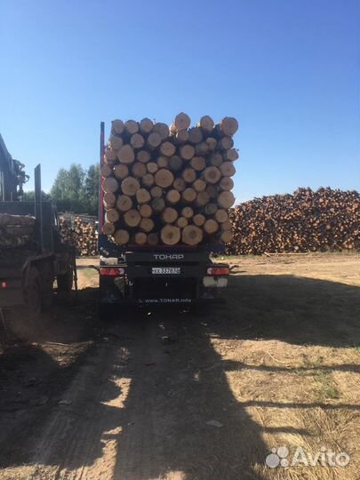 Лес кругляк пиловочник прошлогодний