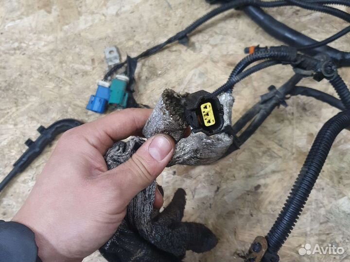 Проводка коса моторная форд фокус 2 1.6 100л.с
