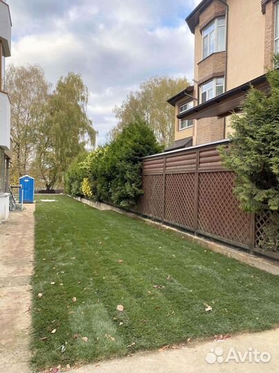 Рулонный газон 100 Мятлик