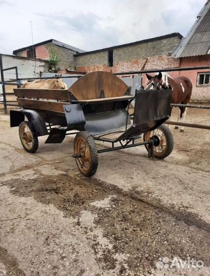 Экипажи для лошади