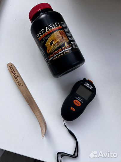 Эублефар с террариумом