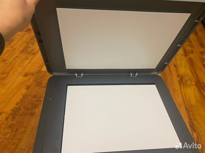 Принтер сканер копир hp
