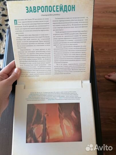 Динозавры Фотикулярная книга