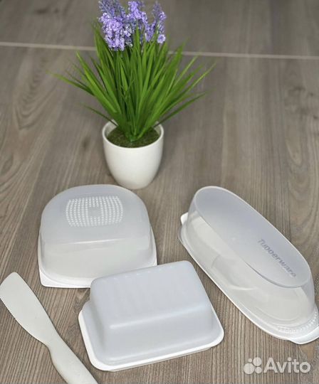 Сырница, масленка, салями, хлебница Tupperware