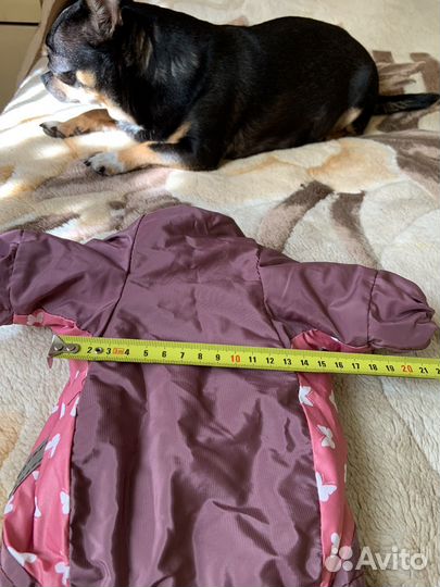Комбинезон для маленькой собаки