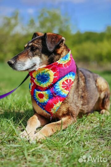 Помоги мне попасть домой