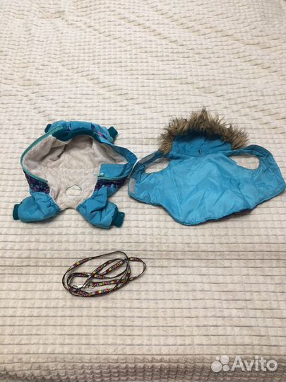 Зимний комбинезон для маленькой собачки