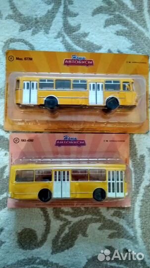 Наши автобусы N8, 12, 20, 31