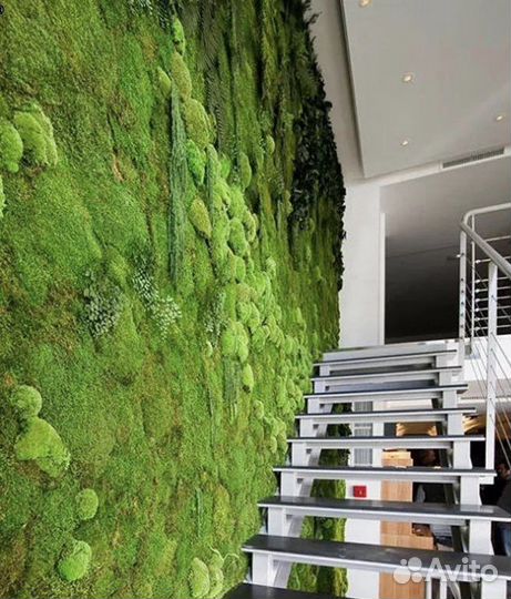 Средство готовое для стабилизация растений