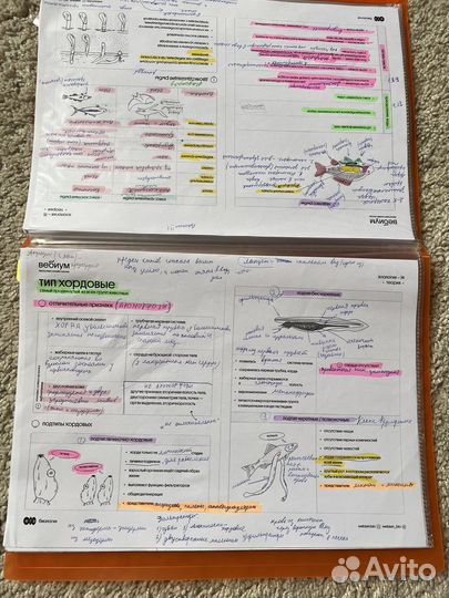 Конпекты по биологии егэ Дарвин и Ламарк