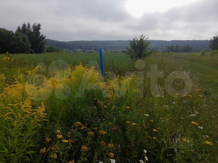 Участок 31,2 сот. (ИЖС)