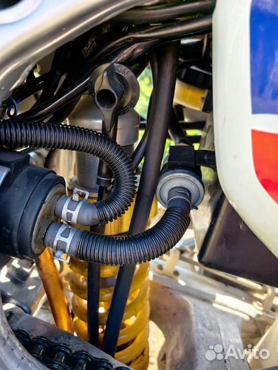 Суперафрика