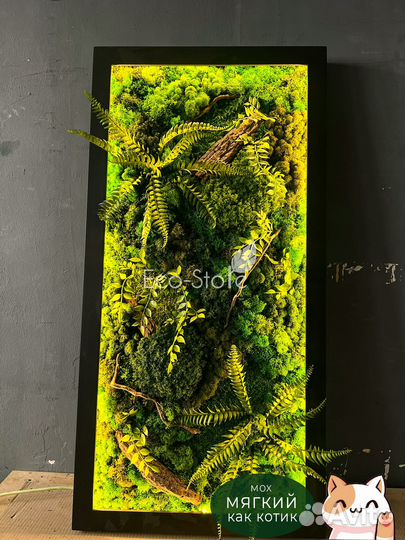 Панно из стабилизированного мха 100 на 50 см