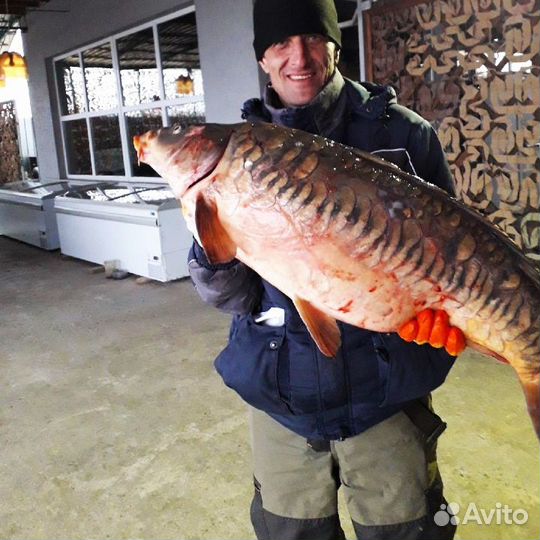 Организация рыбалки